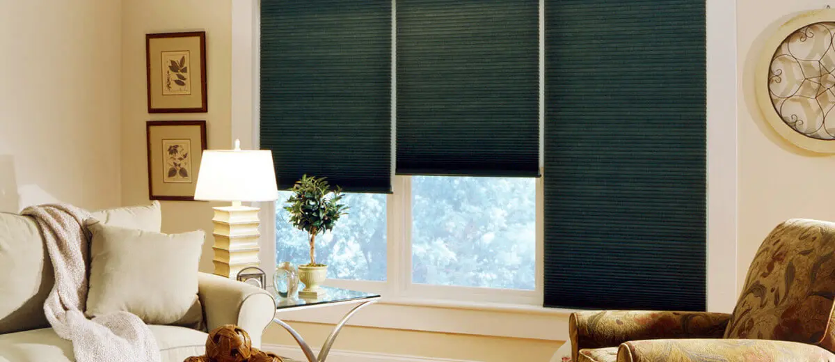 Window Covering Pleated Shades