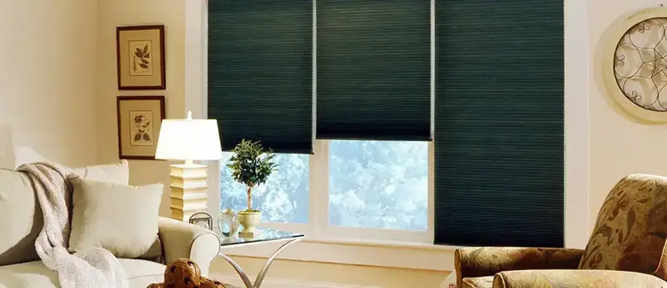 Window Covering Pleated Shades